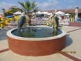 /album/action-aquapark/a8446133-l-jpeg/