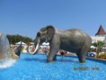 /album/action-aquapark/a8446161-l-jpeg/
